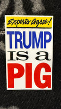 TRUMP IS A PIG Sticker